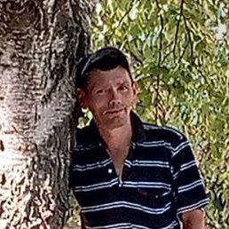 ����, ���������, 44 ����