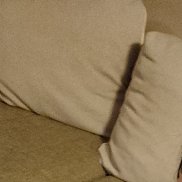 ������, 37 ���, �������