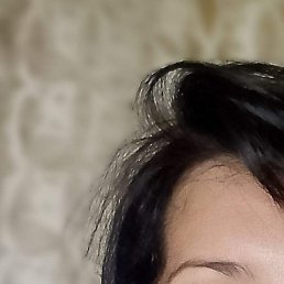 �������, �������, 46 ���