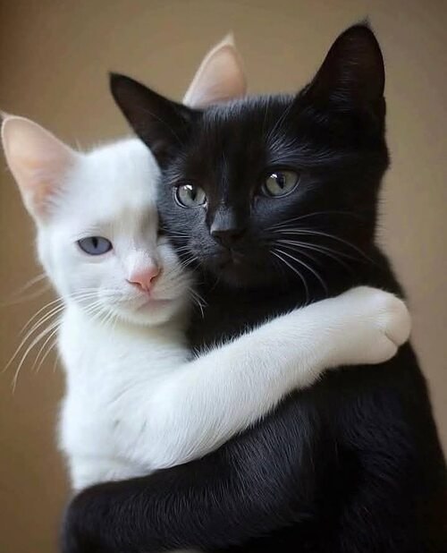 "        -.     ,   ...