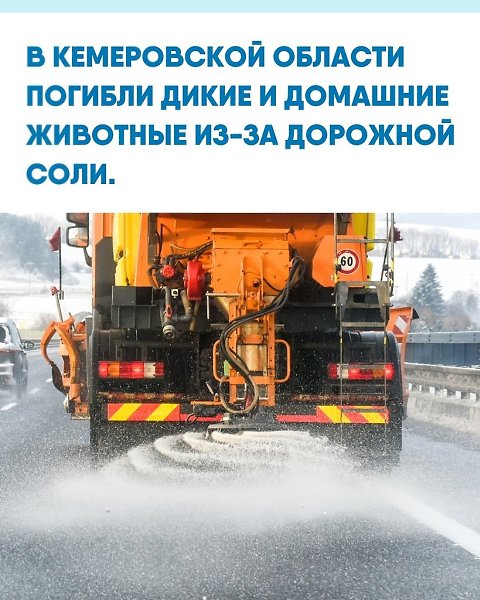 e oac oap  pacc ea oc, oce  ae oae. o  coa, oe o ...