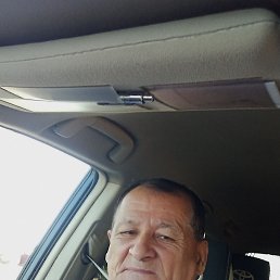 , 65, 