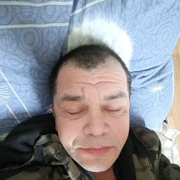 , 44, 