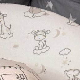 ���������, �����������, 28 ���