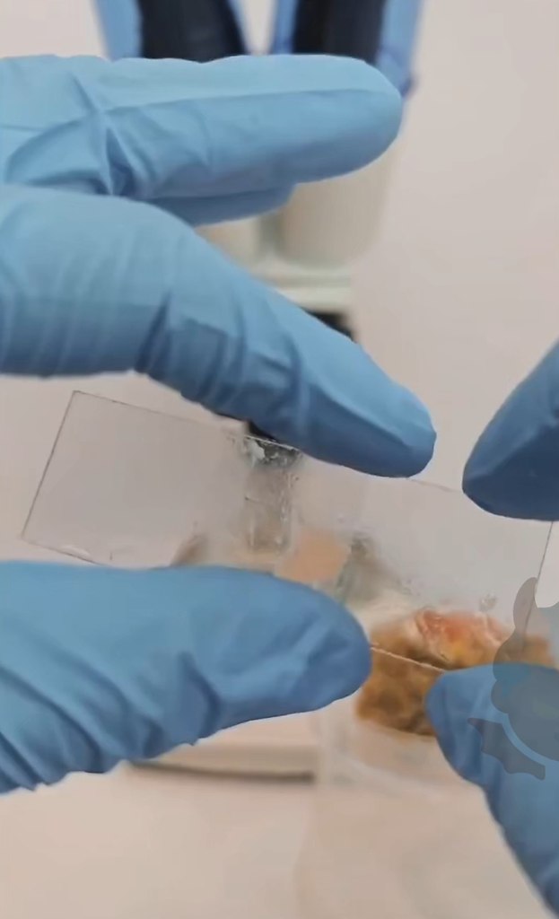  , .              ... - 2