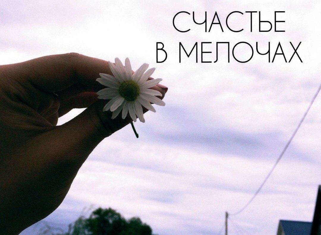   ,    . - 7  2025  15:54