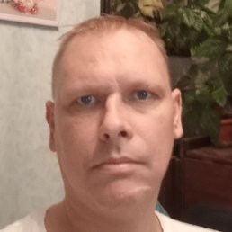 �����, ������, 41 ���