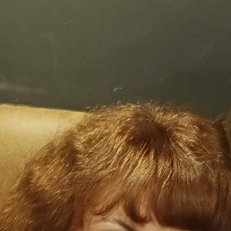 , 49, 