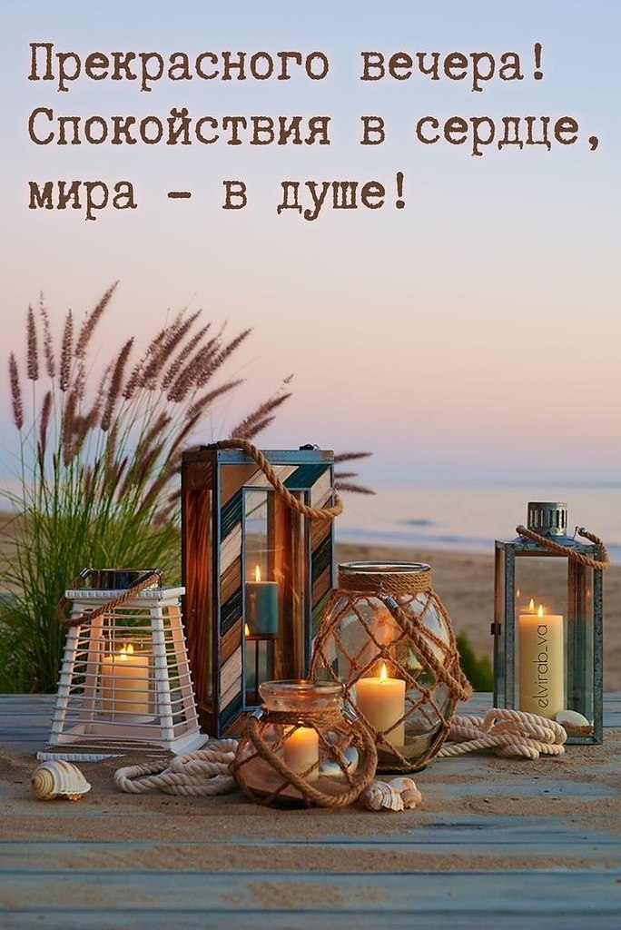   ,    . - 26  2025  18:18
