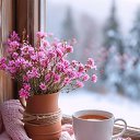 ���� �����, ���, 65 ��� - ��������� 27 ������� 2024 � ������ ���� ����������