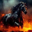 ���� Seriy, ��������, 37 ��� - ��������� 18 ������� 2026