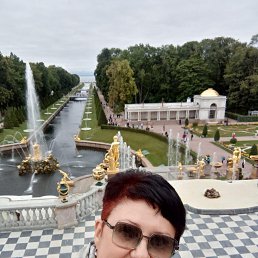 , 53, 