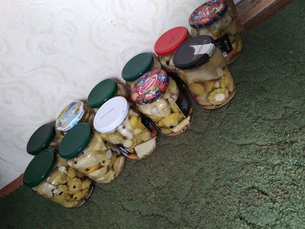 Ну кабачки и крыжовник ещё есть. С остальным потихоньку расправляюсь))))) побеждаю))))) благо ... - 7