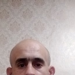 , 38 , 