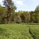 ���� O!, ������, 67 ��� - ��������� 13 ������ 2026 � ������ ����������