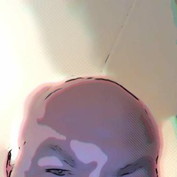 , 56, 