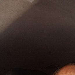 ��������, �����, 64 ����