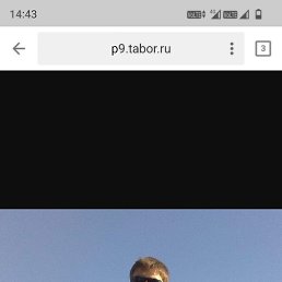 , , 28 