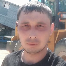 ������, ������, 41 ���