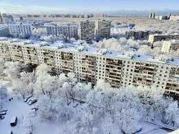 �����������