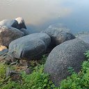 ���� ��������, ������ - ��������� 8 ������� 2025 � ������ ������ ��������