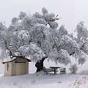 ���� �������, �������, 46 ��� - ��������� 28 ������ 2023 � ������ ������ ��������