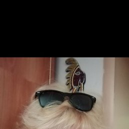 , 57, 