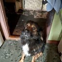 ���� �����, �����-���������, 57 ��� - ��������� 14 ������� 2025