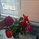 ���� ����, ������, 45 ��� - ��������� 30 ��� 2026 � ������ ���� ����������