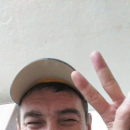 ���� �����, �������, 48 ��� - ��������� 3 ������� 2024