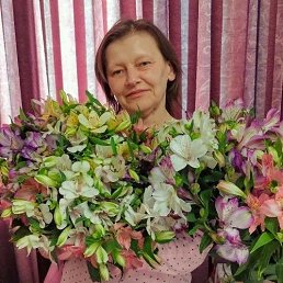 ���� ������, ���������, 52 ���� - ��������� 14 ������ 2026