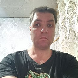 , 37, 
