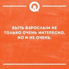   - 3  2024  10:19