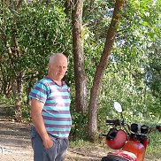 , 65 , 