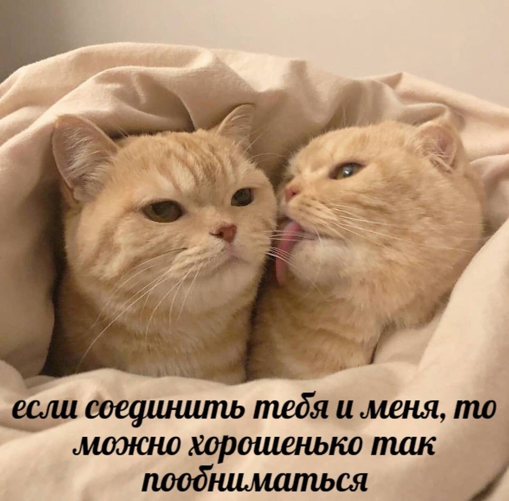    - 29  2024  02:13