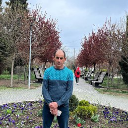 , 54, 