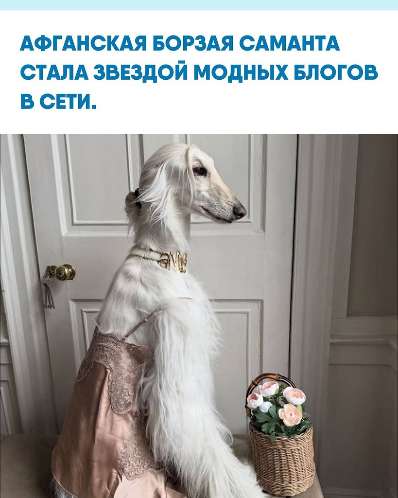 eo����a� co�a�a �� �o��o�a �o�op��a �o���o�a�e�e� co�ce�e� ���e������ �o�o � �e���pe���� c���e�. � ...