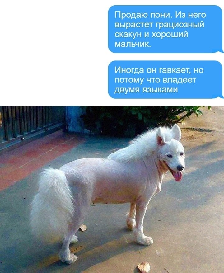  !