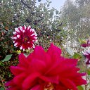 ���� �����, ������ ��������, 60 ��� - ��������� 5 ������ 2025 � ������ ���� ����������