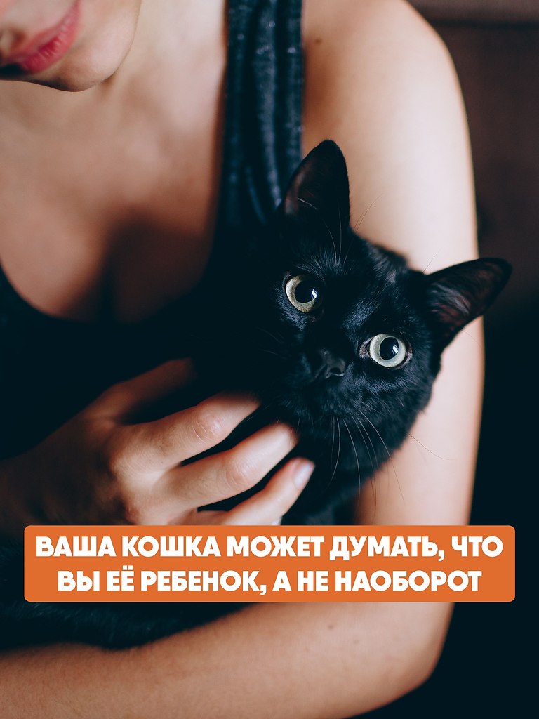     ,    ...