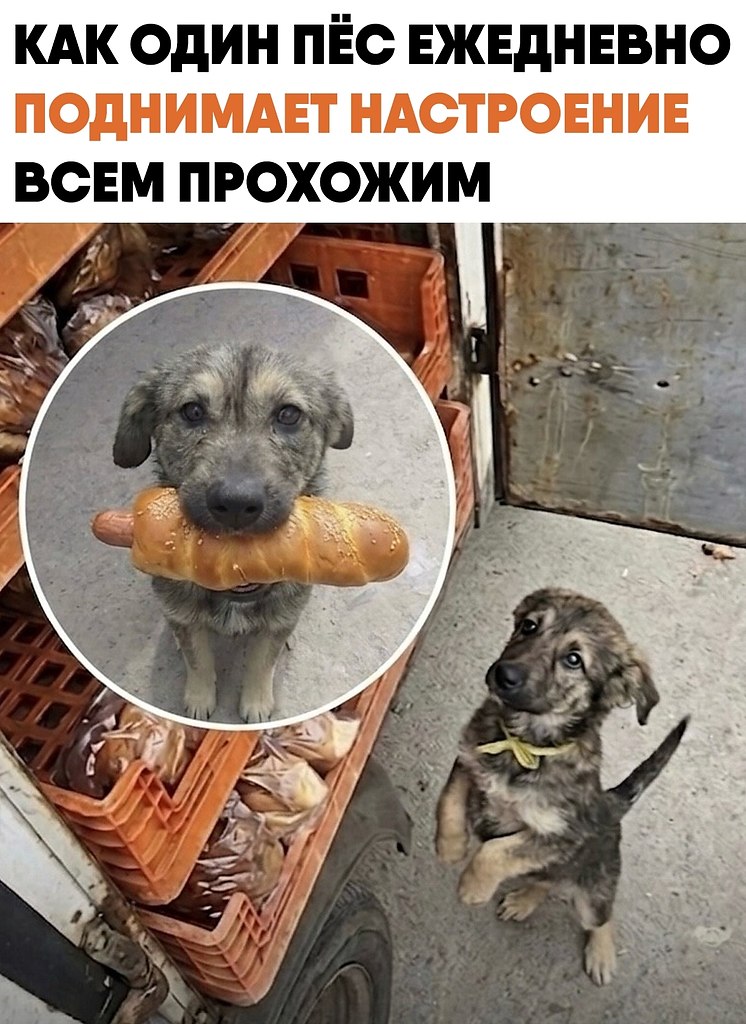 ��������� �� ���� �������� ������� ������. ������ ���� ��������� �� ��������� � ������� �� ������ ...