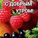  , , 65  -  6  2025