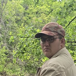 , 29 , 