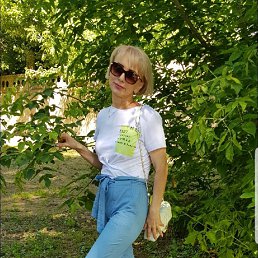 , 58, 