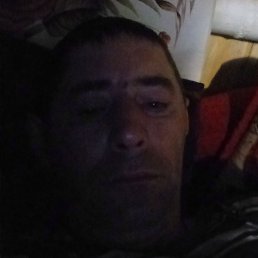 ����� ��������, ������, 44 ����