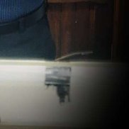 ������, 31 ���, �������