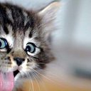 ���� Evi, ������ - ��������� 10 ������ 2023 � ������ ���� ����������