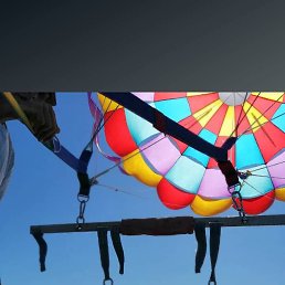���� �����, ������, 41 ��� - ��������� 9 ������� 2026