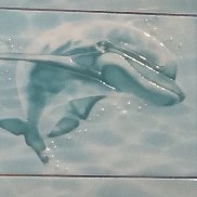 �������, 51 ���, ��������