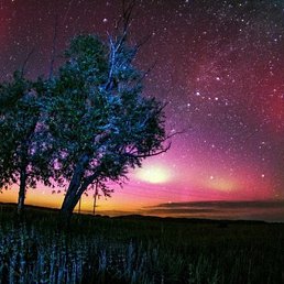 ����, �����-���������, 37 ���